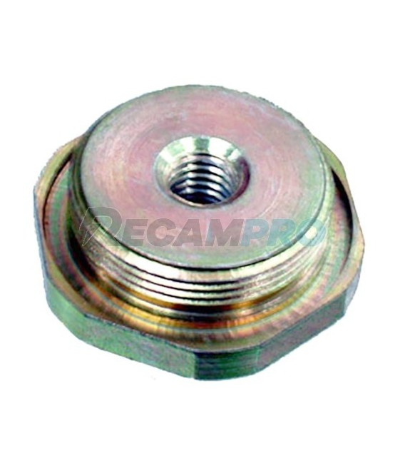 TAPON ROSCA SOPORTE ANODO TERMO CORBERO 44CO0056