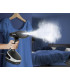 Cepillo de vapor vertical Rowenta Access Steam Force plancha y desinfecta DR8270D1