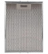 FILTRO METALICO CAMPANA PANDO 580058200089