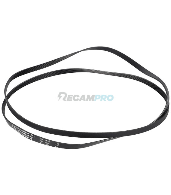 CORREA PARA LAVADORA UNIVERSAL, 1956H7. 2962470100