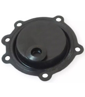 MEMBRANA CALENTADOR  BAXI ROCA 7720349