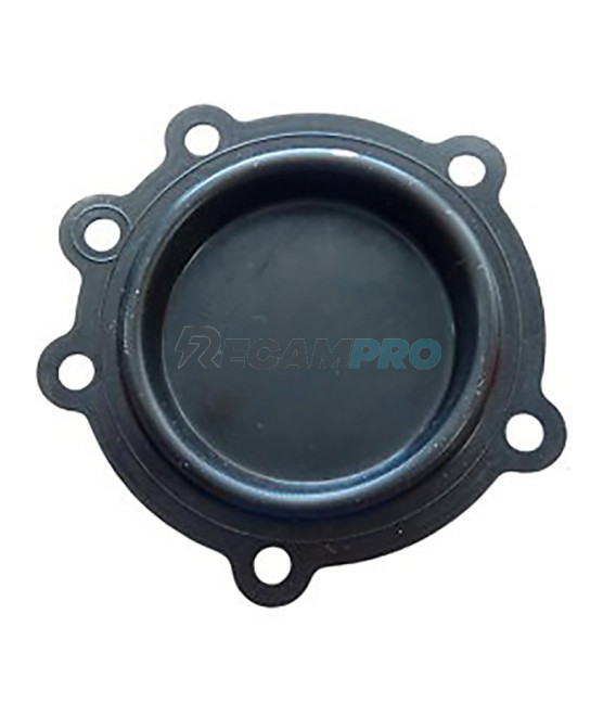 MEMBRANA CALENTADOR  BAXI ROCA 7720349