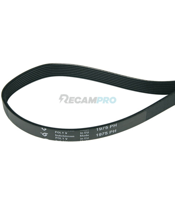 CORREA SECADORA ZANUSSI 1975H7 481281728433