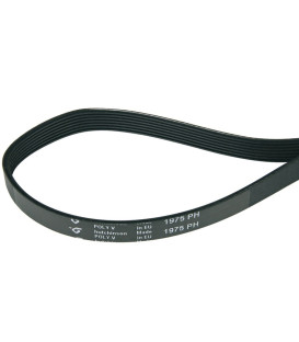 CORREA SECADORA ZANUSSI 1975H7 481281728433