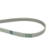 CORREA LAVADORA, SECADORA AEG, NEW POL, 1230H7 EL C00377967