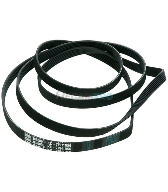 CORREA PARA LAVADORA UNIVERSAL, 1956H7. 2962470100