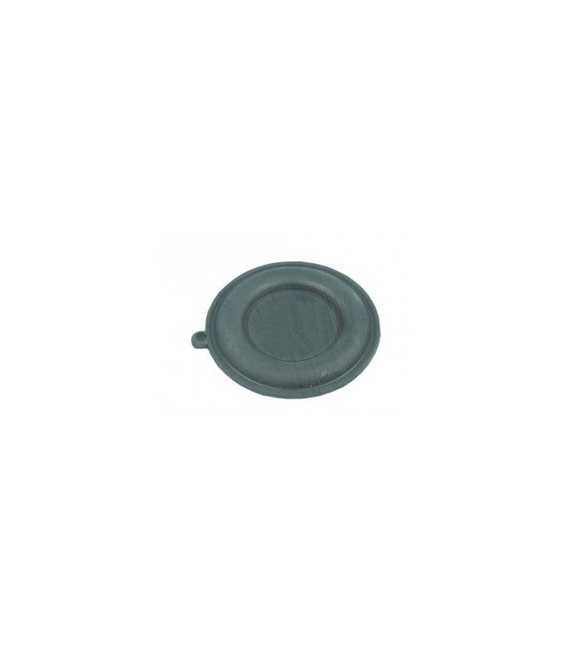 MEMBRANA CALENTADOR COINTRA 10 LITROS  EB10  4967