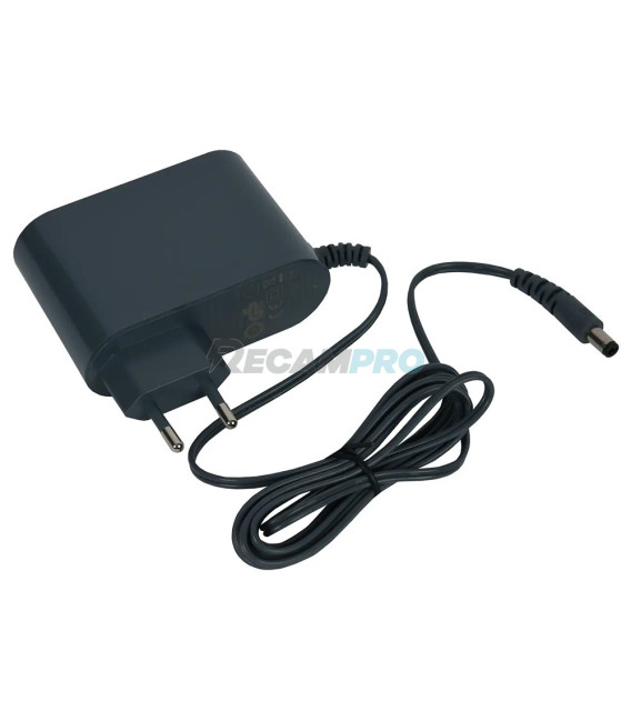 ALIMENTADOR ASPIRADOR ROWENTA SS-2230002364