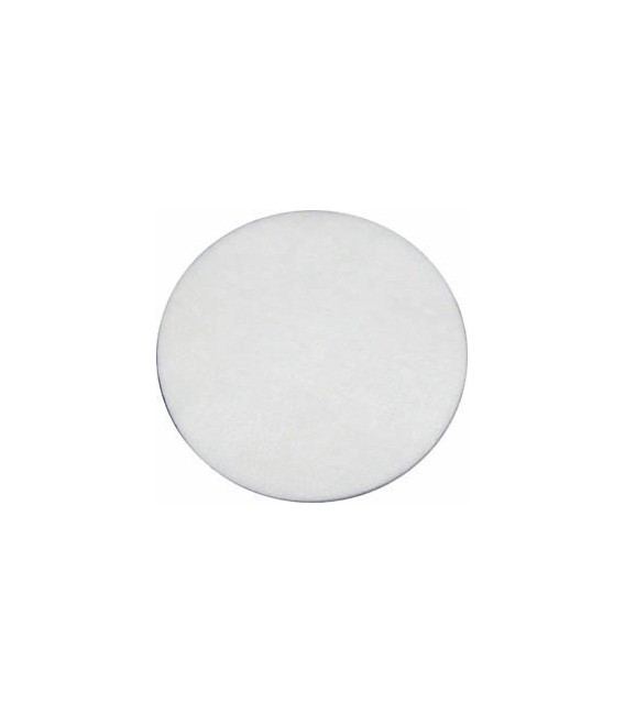 Filtro motor Dyson Eurospart 0217A