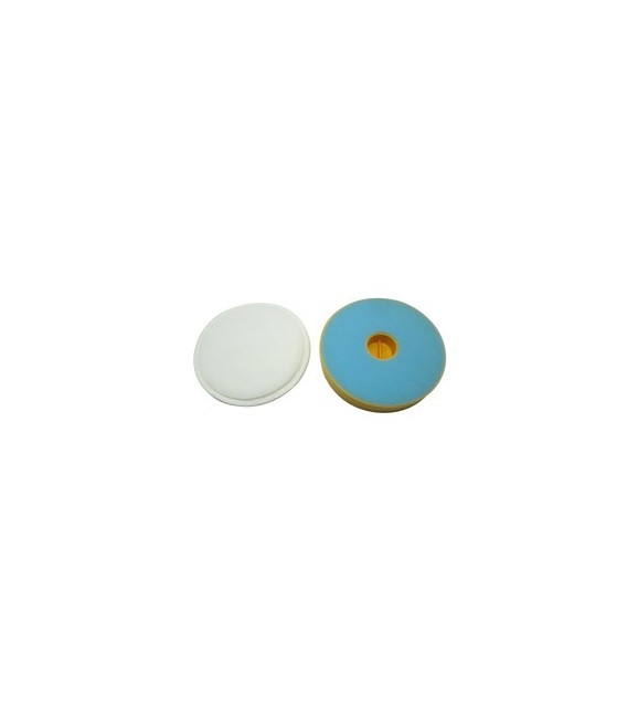 Pack de 2 filtros Dyson europarts 49DY0216A 0243A