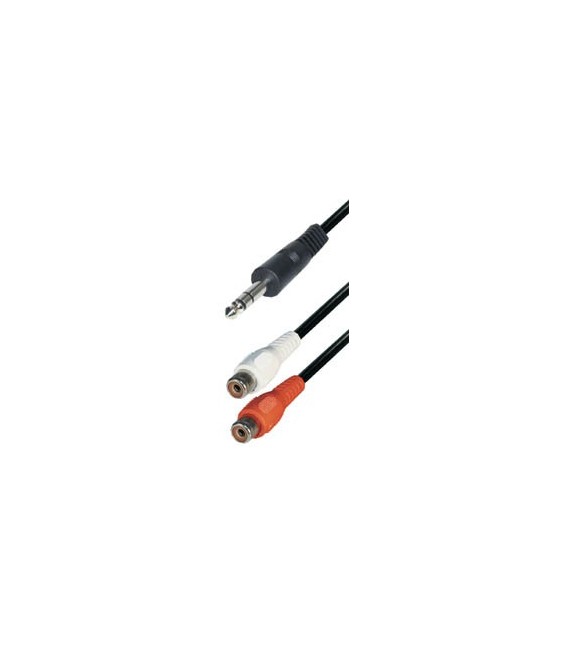 Jack m 6,3ST - 2RCA h 0,2m E-A50