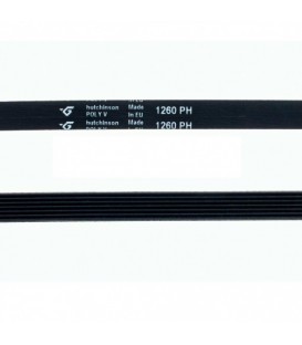 Correa lavadora AEG, 1260H7, 1260PH 8996452501803